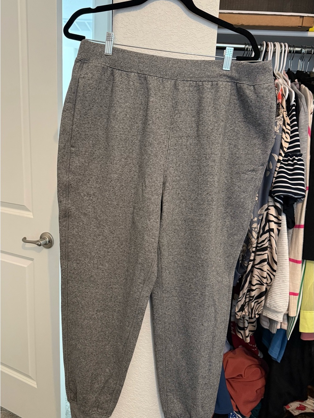NWT DSG Men's Gray Jogger Pants!